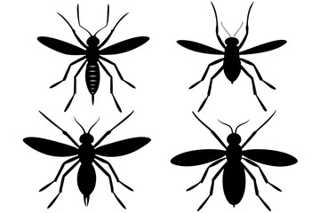 set of mosquito silhouette vector  illustration 