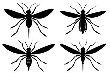 set of mosquito silhouette vector  illustration 