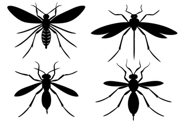 set of mosquito silhouette vector  illustration 