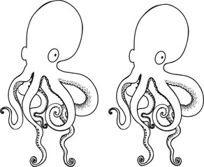 Black and white line drawing octopus. Detailed graphics drawing pattern design element underwater animal. Clip art asian seafood restaurant menu character childrens coloring book dotwork tattoo sketch