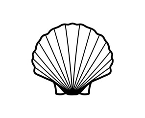 Seashell icon. Vector line shell illustration.