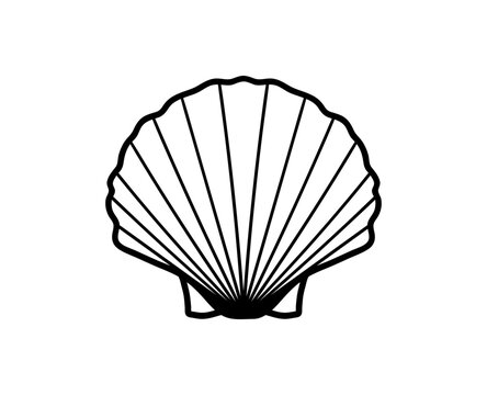 Seashell icon. Vector line shell illustration.