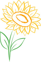 Sunflowers Line Art, Fine Line Sunflower Hand Drawn Illustration.