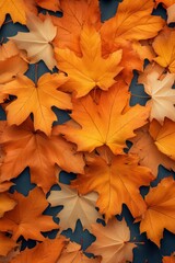 Fototapeta premium Beautiful autumn background made of orange and yellow maple leaves