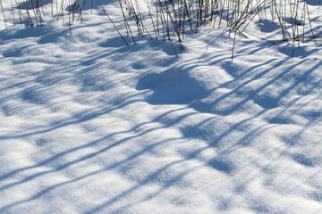Śnieg leżący na polu. Błękitne cienie na puszystym białym śniegu. © ChemiQ