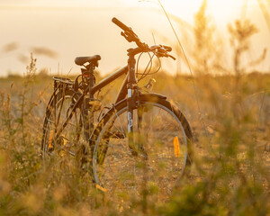 Przyrodniczy patrol rowerowy, rower i przyroda, zachód słońca. © MarcinRoj.Fotografia