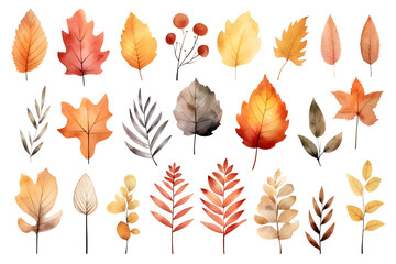 Obraz premium Watercolor autumn yellow leaves and plants collection isolated on white background