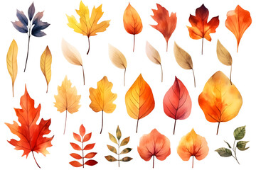 Fototapeta premium Watercolor autumn yellow leaves and plants collection isolated on white background