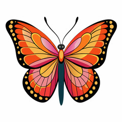 A beautiful butterfly on a white background