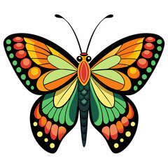 A beautiful butterfly on a white background