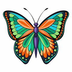 A beautiful butterfly on a white background