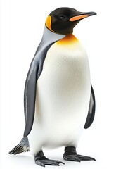 Obraz premium Penguin, full-body shot, white background, isolated, hyperrealistic