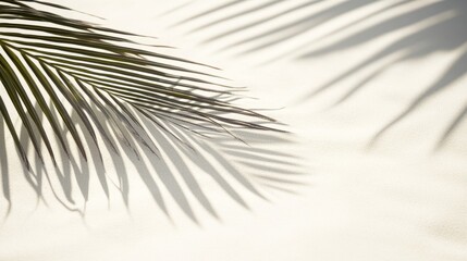 Obraz premium Business, tourism concepts, beach, palm, sea, tropical, tree, ocean, sand, island, sky, water, travel, paradise, nature, summer, vacation, coast, coconut, landscape, sun, caribbean, holiday