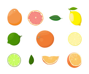 Colored fruit set isolated on a white background. Citrus fruits and green leaves, collection. Vector Illustration, icon. Lemon, lime, grapefruit, orange fruit.