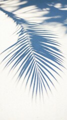 Business, travel concept, fern leaf, projection, background, palm leaf, Shadow, clean flat, white sand beach, local close-up, magazines, books, documents, media, Reading, color, pattern, sky, close-up