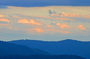 nebliger Schwarzwald 