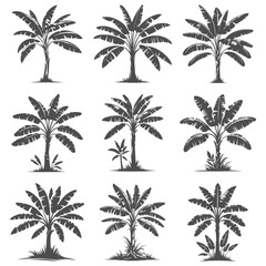 Banana Tree Silhouette Set. Vector Icon Art.