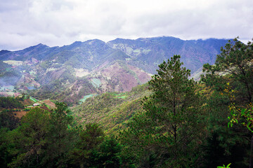 Fototapeta premium Mountainous forest landscape in Constanza, Dominican Republic