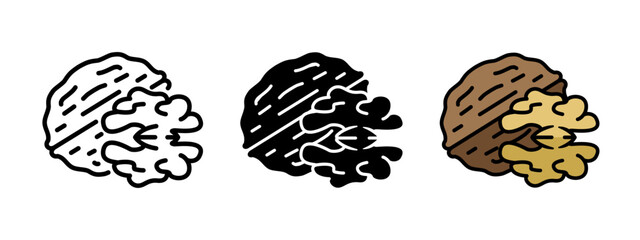 Walnut icon. Walnut seed vector illustration. Raw nutshell with kernel symbol. Brown nut fruit snack sign. Healthy nourishment pictogram. Rich source of protein concept. Organic food icon.