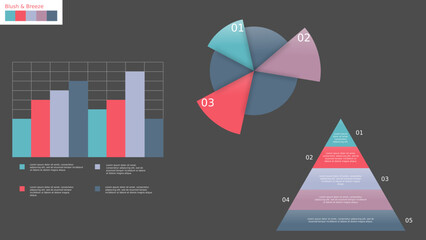Elegant Chart Set: Pie, Bar, and Pyramid with Blush & Breeze Palette