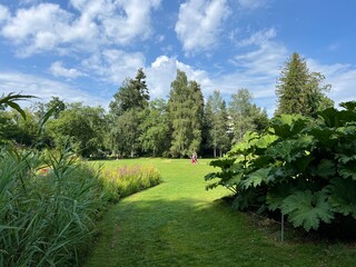The Botanical Garden of the University of Zurich or Botanischer Garten der Universität Zürich (Botanischer Garten der Universitat Zurich - Botanischer Garten der Universitaet Zuerich)
