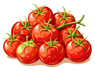 tomato vector, illustration of tomato isolated on white background