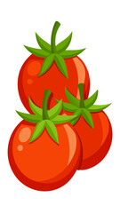 tomato vector, illustration of tomato isolated on white background