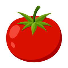 tomato vector, illustration of tomato isolated on white background
