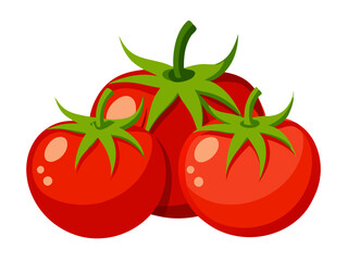 tomato vector, illustration of tomato isolated on white background