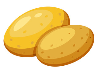 Potato vector, illustration of Potato isolated on white background