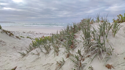 Coastal landscape of the Kangaroo Island