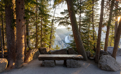 bench in the park overlooking waterfall - Yellowstone National Park - Grand Canyon of the Yellowstone - at Artist Point