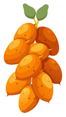 Sweet Potato vector, illustration of Sweet Potato isolated on white background