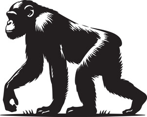 Chimpanzee silhouette vector style with White Background