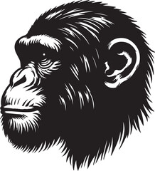 Chimpanzee silhouette vector style with White Backgroumd