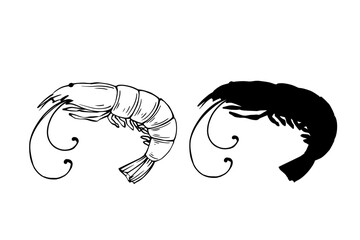 Line sketch, silhouette, stamp shrimp. Vector graphics.
