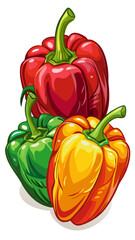 bell pepper vector, illustration of bell pepper isolated on white background