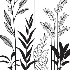 design, background, ornament, decoration, decor, wall, pattern, texture, white, decorative, abstract, art, vintage, wallpaper, style, floral, antique, architecture, backdrop, illustration, retro, mode