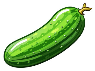 cucumber vector, illustration of cucumber isolated on white background