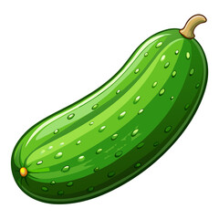 cucumber vector, illustration of cucumber isolated on white background