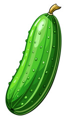cucumber vector, illustration of cucumber isolated on white background