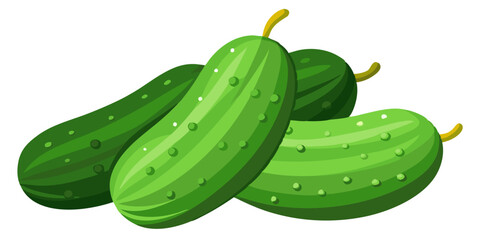 cucumber vector, illustration of cucumber isolated on white background