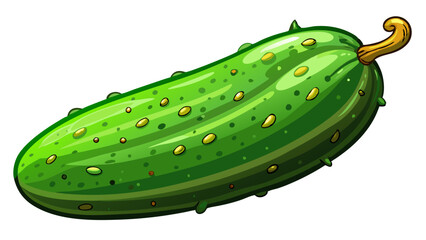 cucumber vector, illustration of cucumber isolated on white background