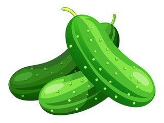 cucumber vector, illustration of cucumber isolated on white background