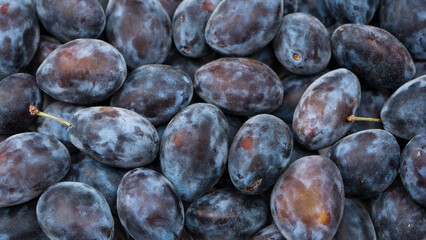 Fresh plums background. Top view. Organic food.
