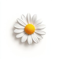 A 3D single icon of a vibrant chamomile flower with detailed petals and a bright yellow center isolated on a white background in a simple style. The flower is rendered