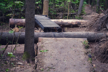 Wooden footbridge over logs and tree roots on a forest trail. Outdoor adventure and hiking concept