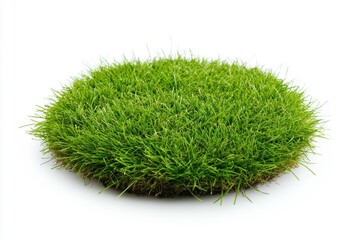 Circular lawn or display green on a light background