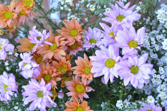 Flores e arranjos de Decora&ccedil;&atilde;o Exclusivas, boqu&ecirc;