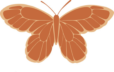 Vector illustration of an esoteric butterfly, orange and sandy colours